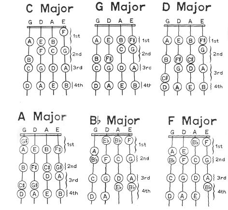 the major and minor guitar chords are shown in black and white, with numbers on them