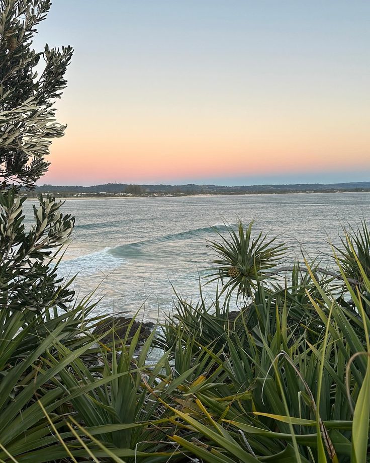 the sun is setting over the ocean with palm trees and water in the foreground