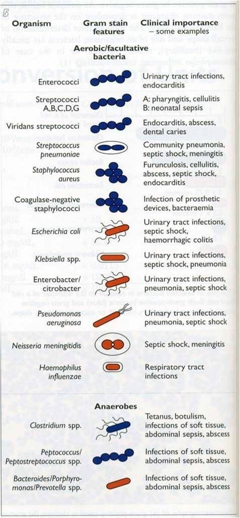 an old book page showing different types of medical instruments and their functions in the text