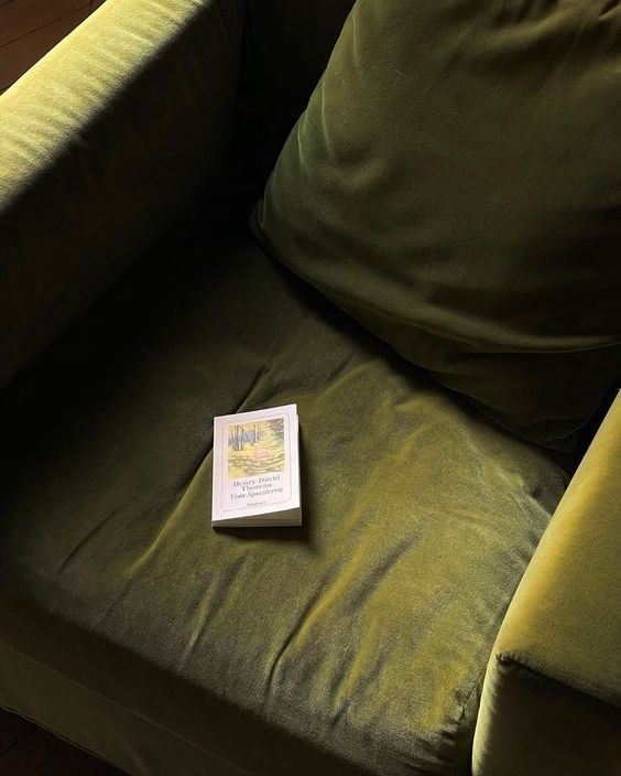 a book sitting on top of a green couch