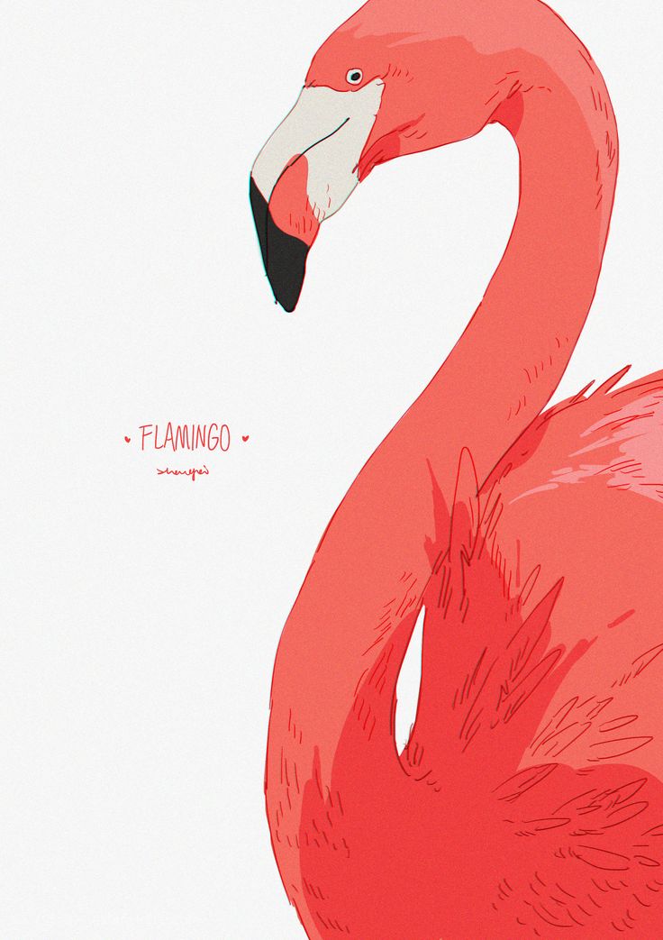 a pink flamingo standing in front of a white background with the words flamingo on it