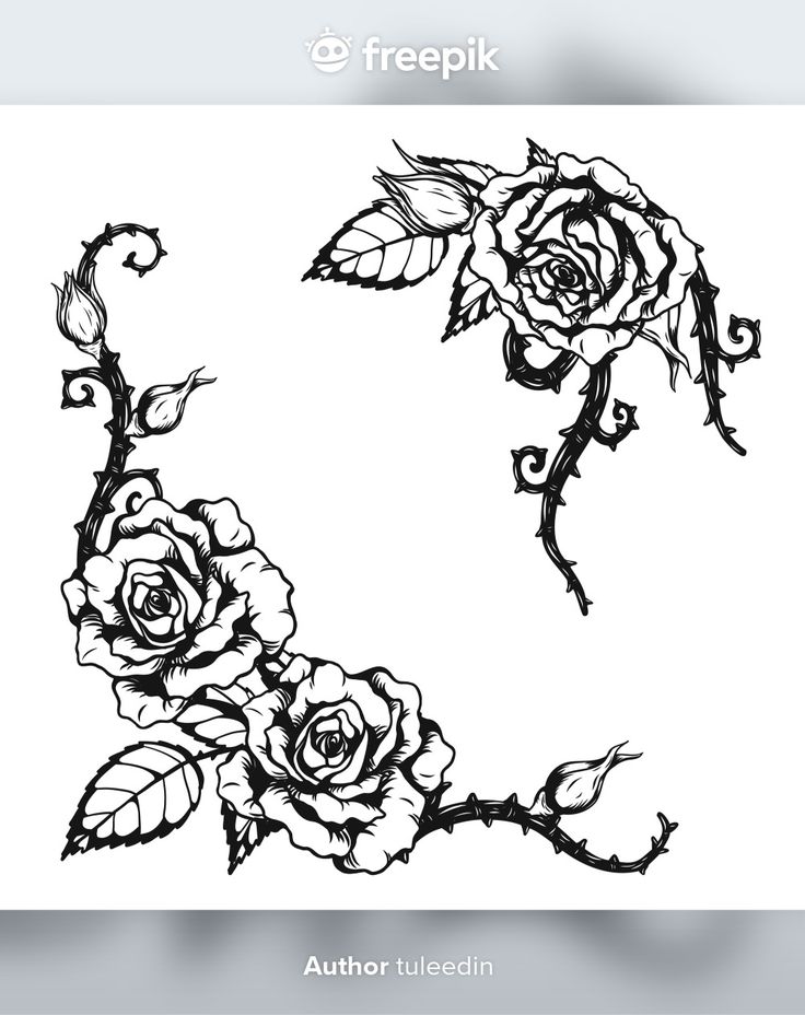 a black and white drawing of roses on a white background with the words freepik