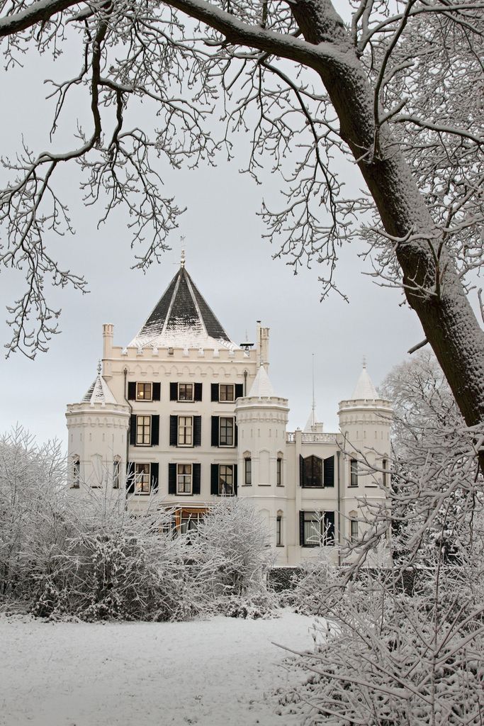 a large white building surrounded by trees covered in snow