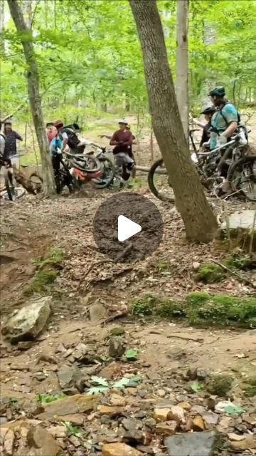 a group of people riding bikes in the woods