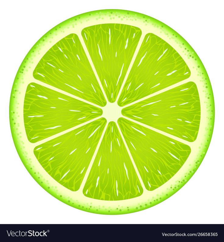 a lime slice on a white background