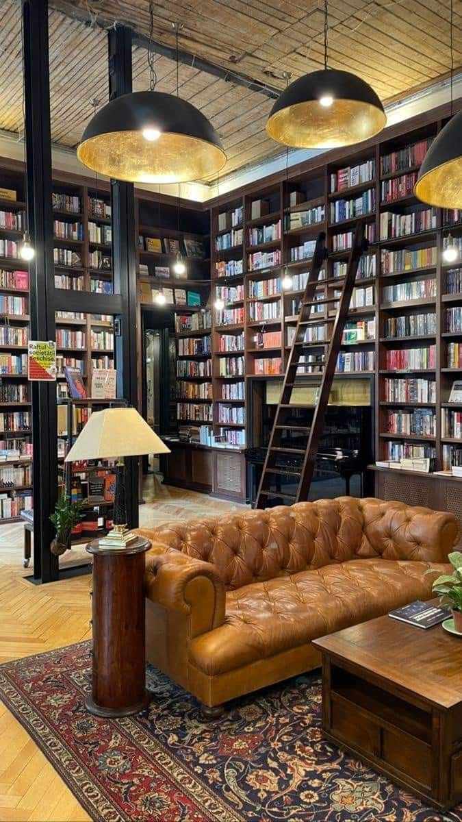 a living room filled with lots of books