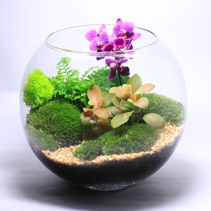 a glass bowl filled with plants and rocks on top of a white table next to a purple flower