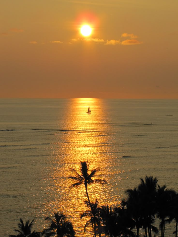 the sun is setting over the ocean with palm trees in front of it and a sailboat on the water