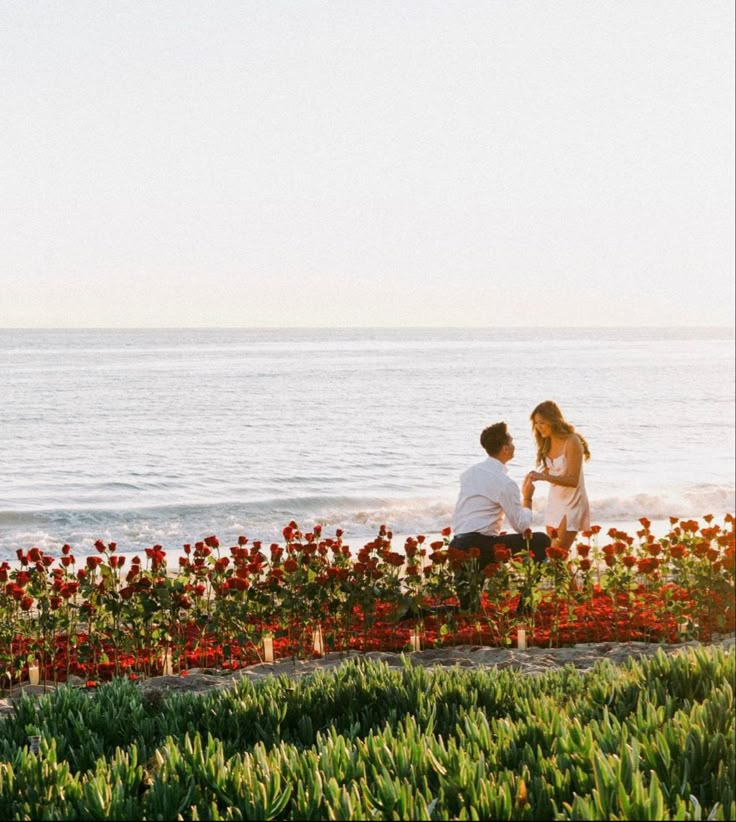 a man and woman sitting on the edge of a flower bed next to the ocean