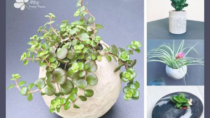 Artsy Pretty Plants: Unique Projects for Your Home and Garden