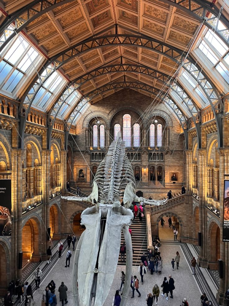 the interior of a museum with many people walking around and looking at an elephant skeleton