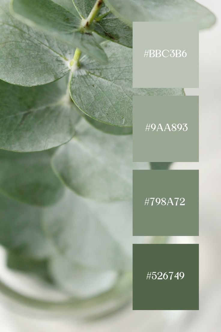 green leaves are shown in shades of gray