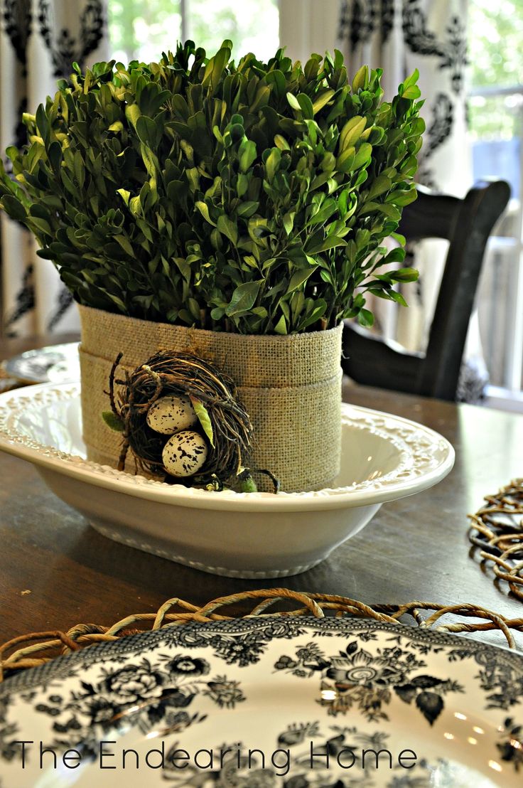 a white plate topped with a potted plant on top of a dining room table