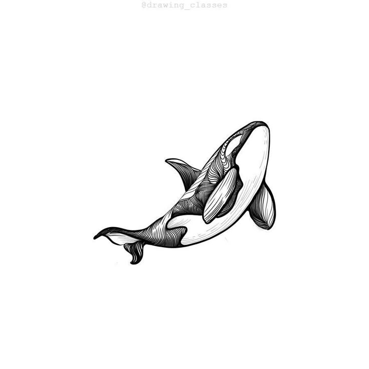 an orca whale is shown in black and white