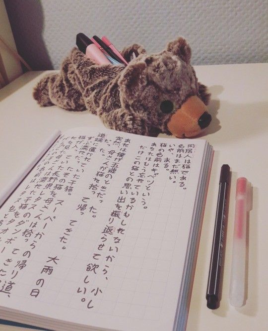 a teddy bear sitting on top of an open notebook next to writing utensils