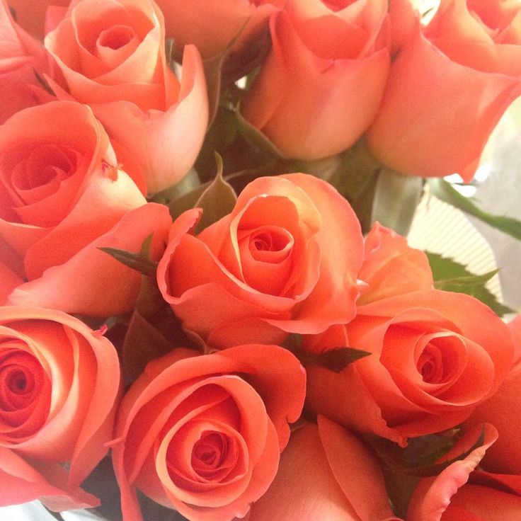 a vase filled with lots of orange roses