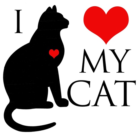 a black cat with a red heart on it's chest and the words i love my cat