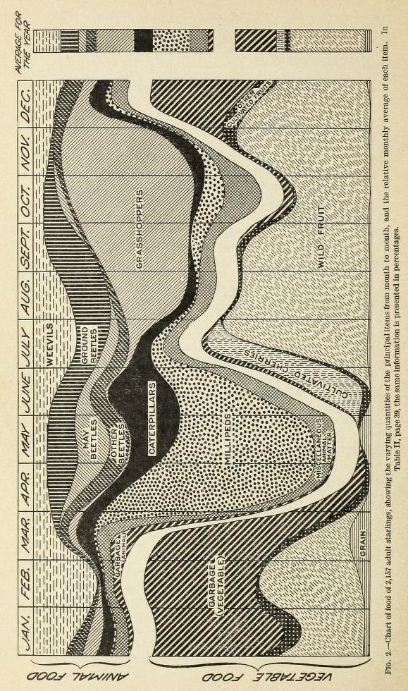 an old book with black and white drawings on it's cover, which shows a river