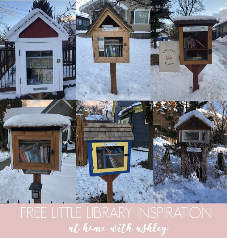 a series of pictures showing different types of bookshelves in the snow with text overlay that reads free little library inspiration at home with alley