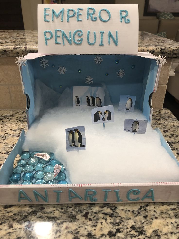 an open box with penguins in it on a marble counter top and the words emperor penguin written above