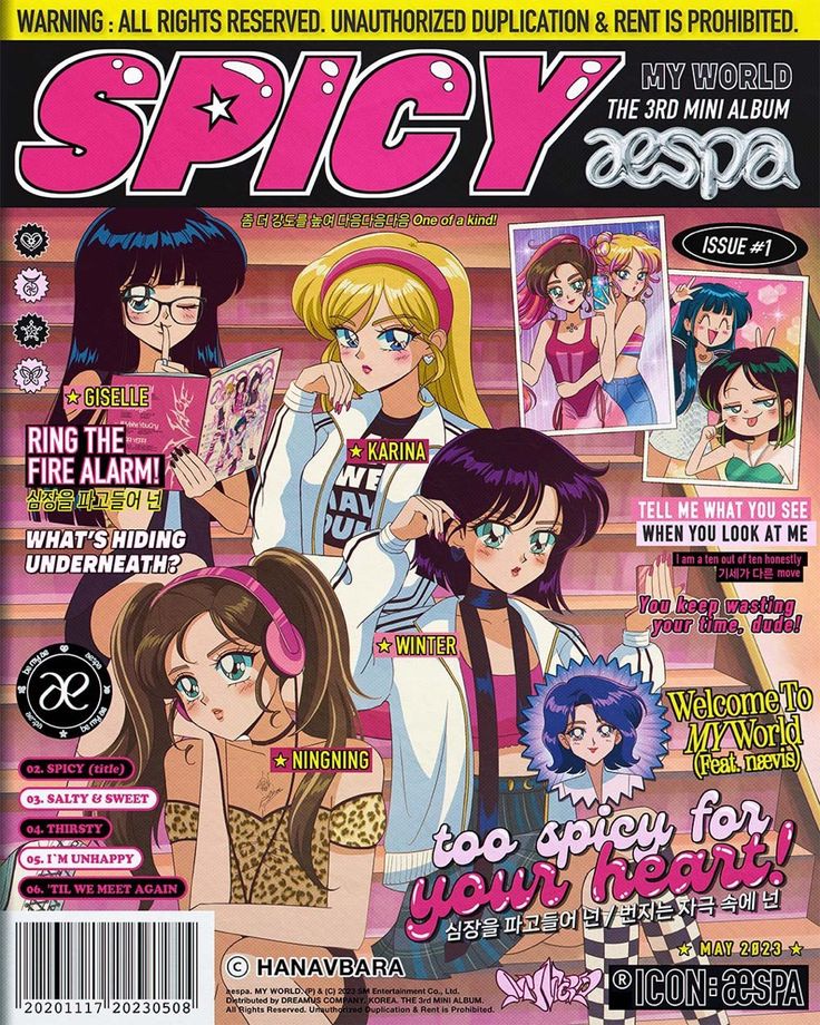 the front cover of an anime magazine