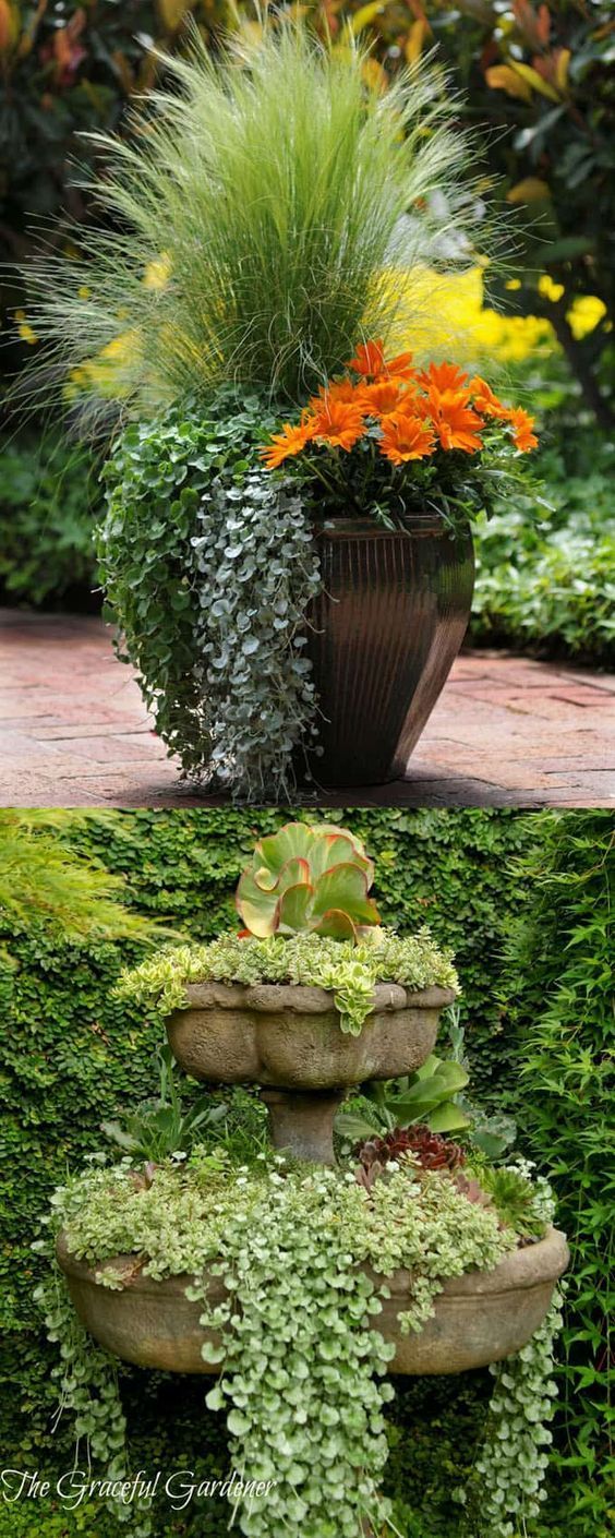 an assortment of plants and flowers in a garden