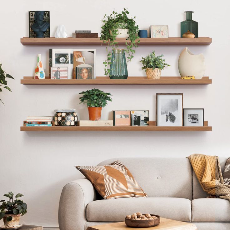 a living room filled with furniture and lots of greenery on top of wooden shelves