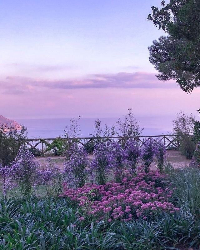 purple flowers are in the foreground, and an old wooden bridge is in the background