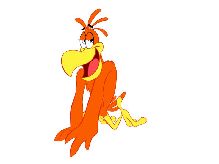 an orange bird with its mouth open and eyes wide open, sitting in the air