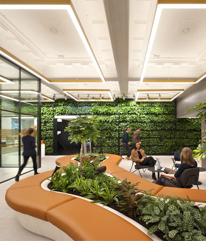 people are sitting around in an office with plants on the walls and couches near them