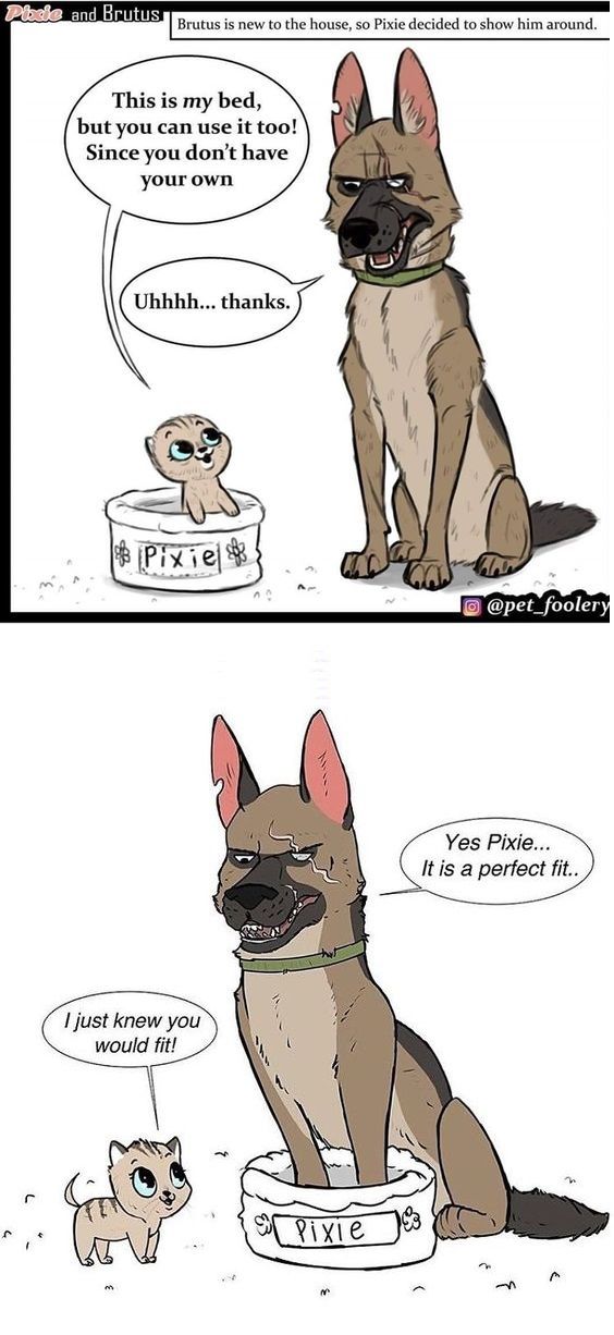 two comics with dogs and one is saying it's okay to be in the bathroom