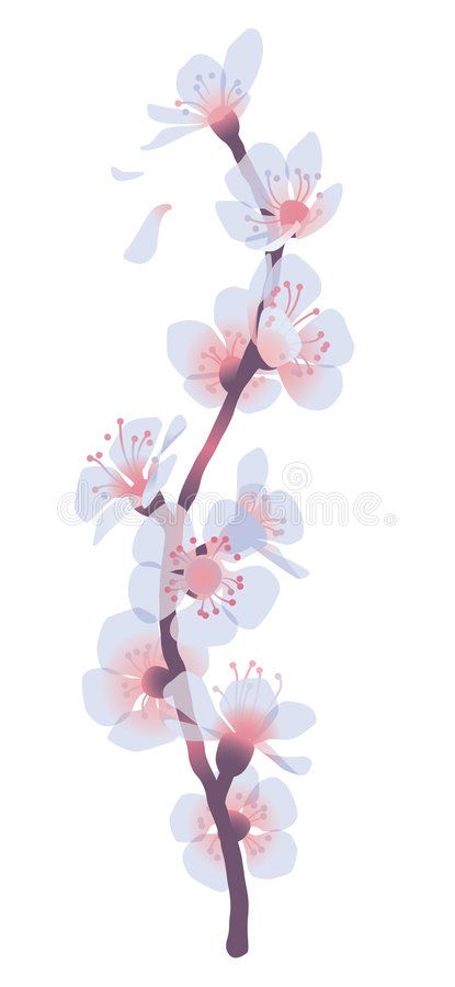 a branch with white and pink flowers on it royalty photo - illustration stocking, clipping