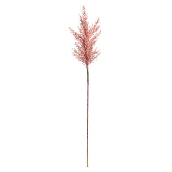 a tall pink plant is shown against a white background