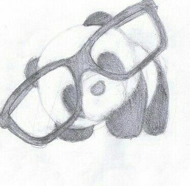 a pencil drawing of a panda bear wearing glasses