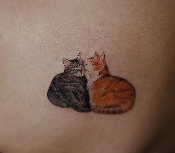 two cats sitting next to each other on the side of a woman's stomach