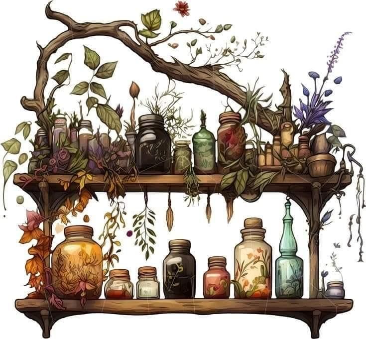 a shelf filled with jars and plants on top of a wooden table next to a tree