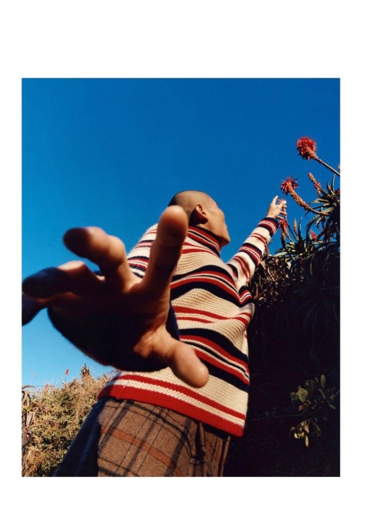 a person reaching up into the air with their hand on top of a flower bush