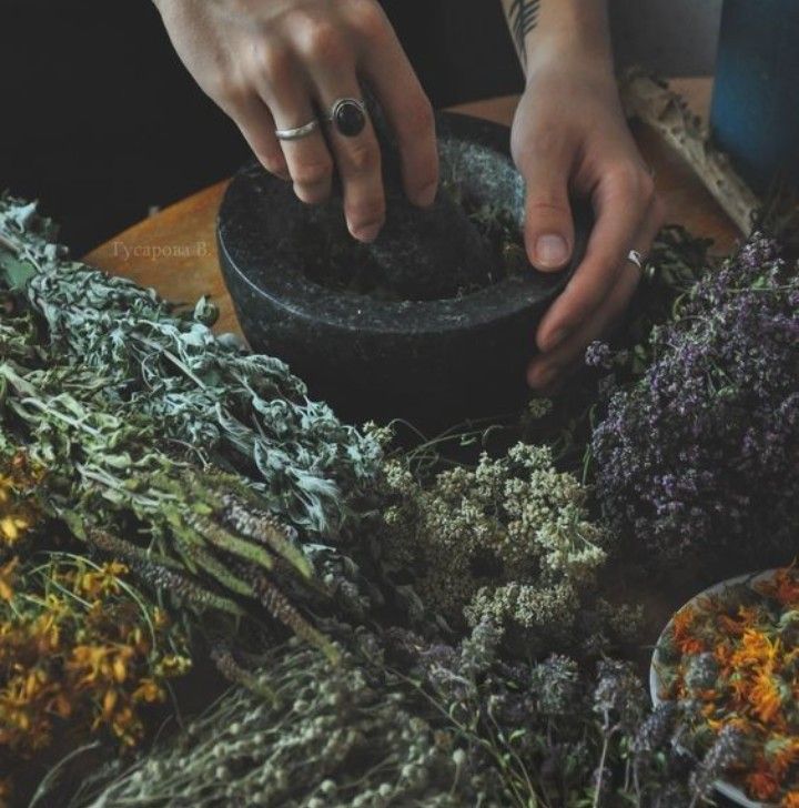 a person is placing something in a bowl on a table with other plants and herbs