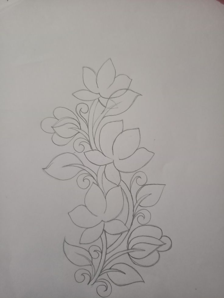 a drawing of flowers on paper with lines in the middle and leaves at the bottom