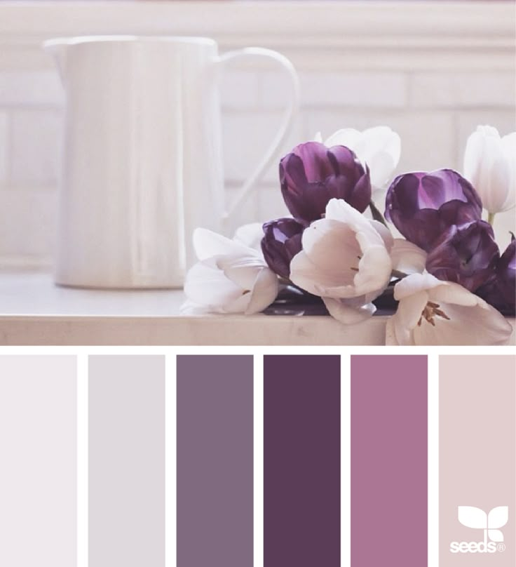 purple and white flowers are in front of a coffee cup on a countertop with the color scheme