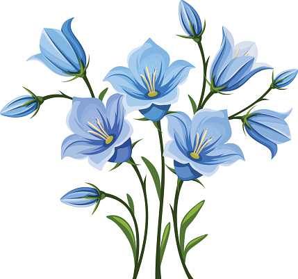 blue flowers with green stems on a white background