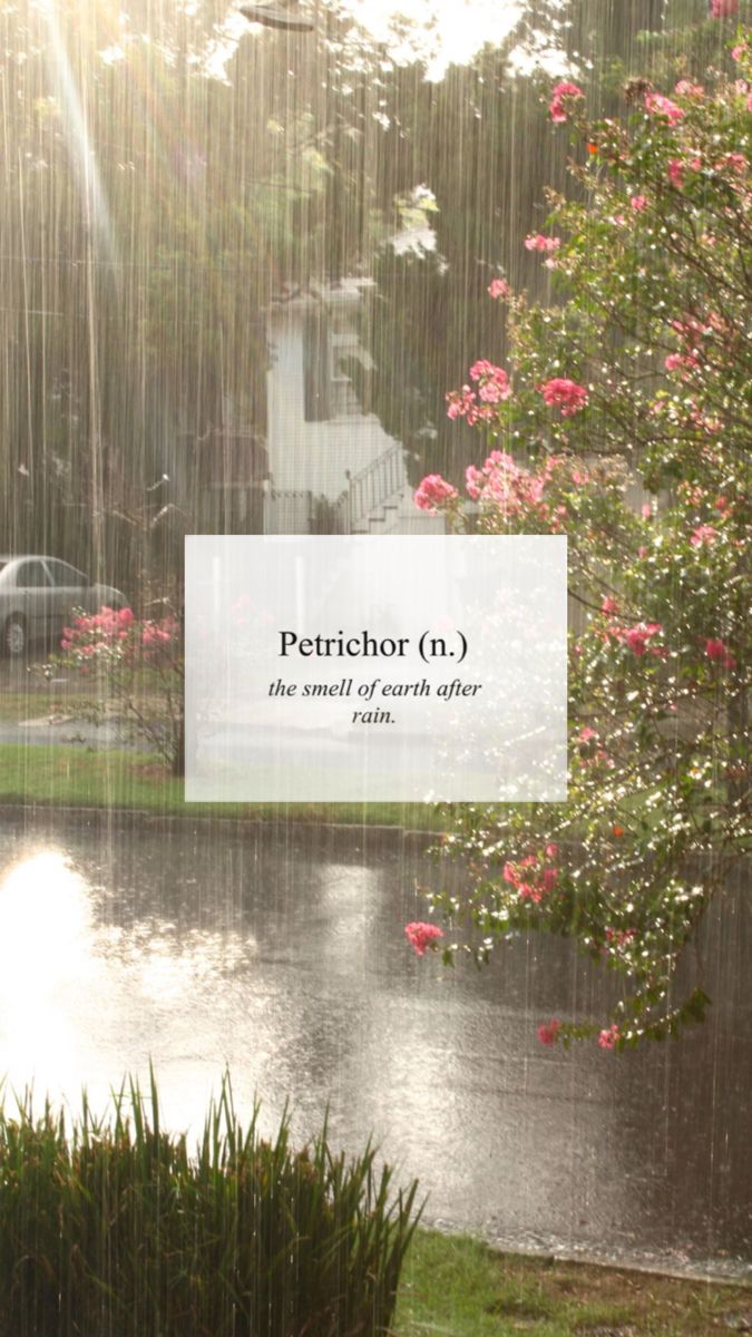 there is a sign that says petrictor d the smell of each other in the rain