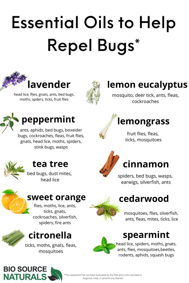 Essential Oils That Repel Bugs, Diy Insect Repellent For Home, Bee Repellent Essential Oils, Natural Indoor Bug Repellent, Essential Oil Pest Control, Gnat Repellant Essential Oils, Essential Oils Insect Repellent, Mosquito Repellant Essential Oils, Essential Oils To Repel Bugs