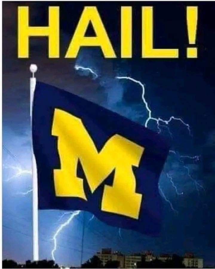 a michigan flag with the word hail on it and lightning in the sky behind it