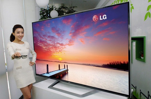 a woman standing next to a flat screen tv with the sunset on it's screen