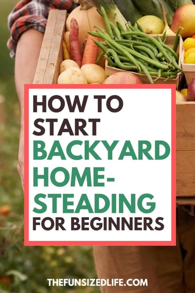 a person holding a crate full of vegetables and fruit with the words how to start backyard home - standing for beginners