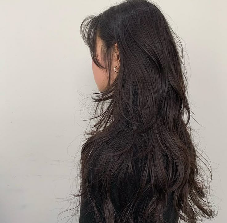 Long Soft Wolfcut, Slight Shag Haircut, Piecey Layers Long, Haircuts For Long Hair With Layers, Brown Hair Inspo, Hair Inspiration Long, Haircut Inspo, Hairstyles For Layered Hair, Have Inspiration