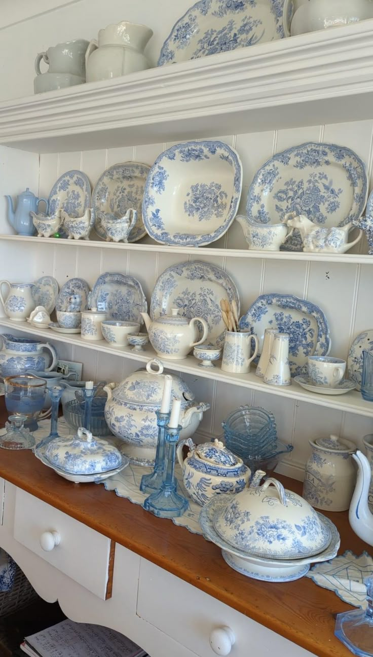 blue and white china is displayed on the shelf