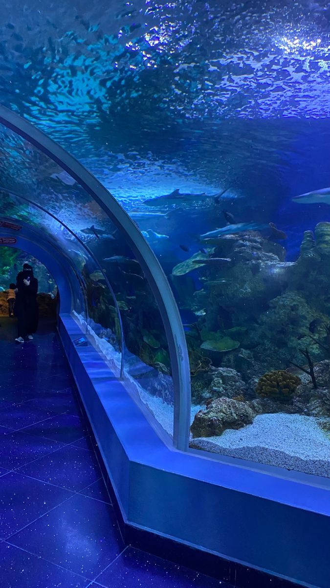 an aquarium filled with lots of different types of fish and people looking at the water