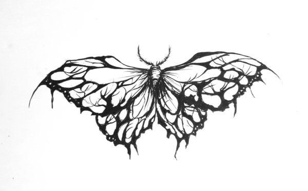 a black and white drawing of a butterfly